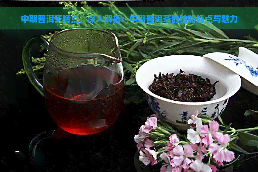 中期普洱茶特点，深入解析：中期普洱茶的独特特点与魅力