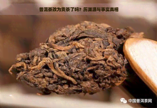 普洱茶改为贡茶了吗？历渊源与事实真相