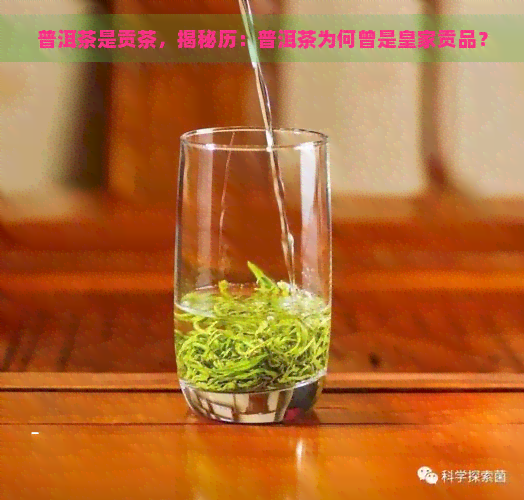 普洱茶是贡茶，揭秘历：普洱茶为何曾是皇家贡品？