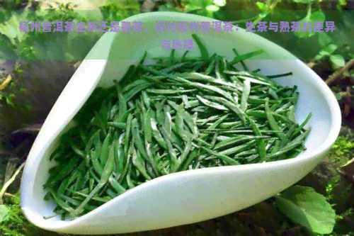 福州普洱茶生茶还是熟茶，探讨福州普洱茶：生茶与熟茶的差异与选择