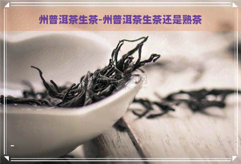 州普洱茶生茶-州普洱茶生茶还是熟茶