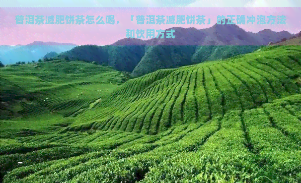 普洱茶减肥饼茶怎么喝，「普洱茶减肥饼茶」的正确冲泡方法和饮用方式