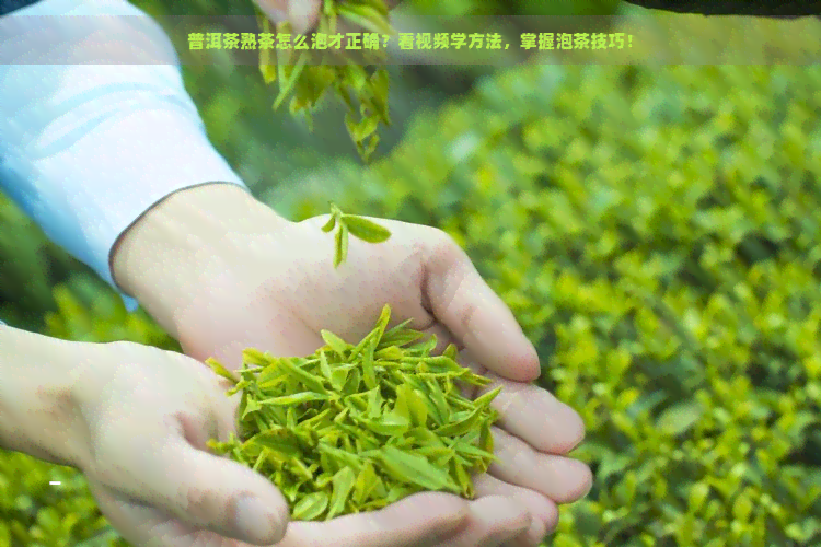 普洱茶熟茶怎么泡才正确？看视频学方法，掌握泡茶技巧！