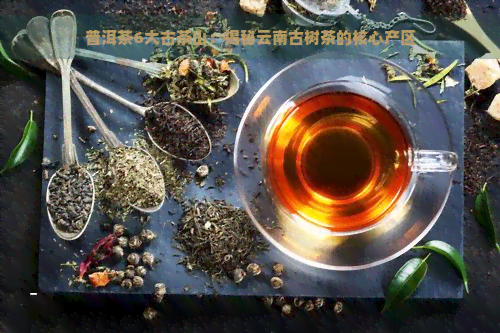 普洱茶6大古茶山：揭秘云南古树茶的核心产区