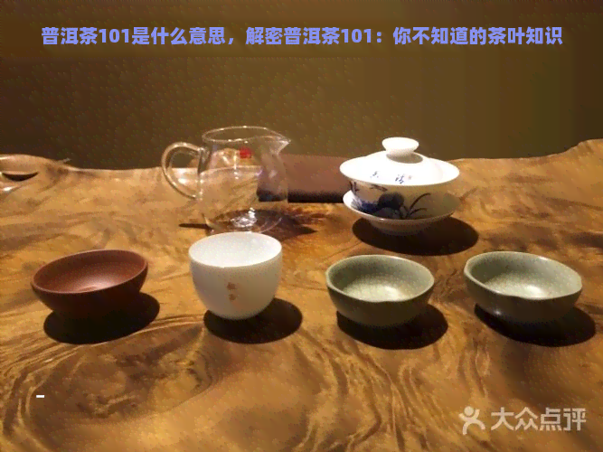 普洱茶101是什么意思，解密普洱茶101：你不知道的茶叶知识