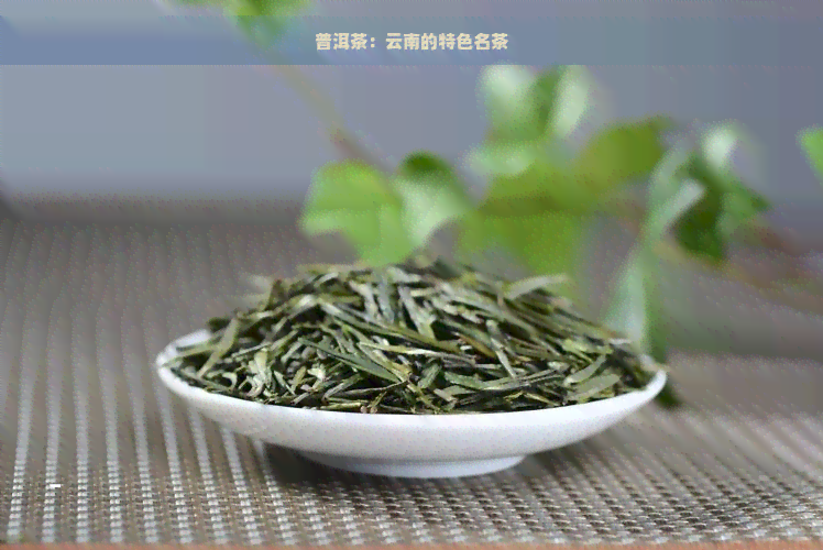 普洱茶：云南的特色名茶