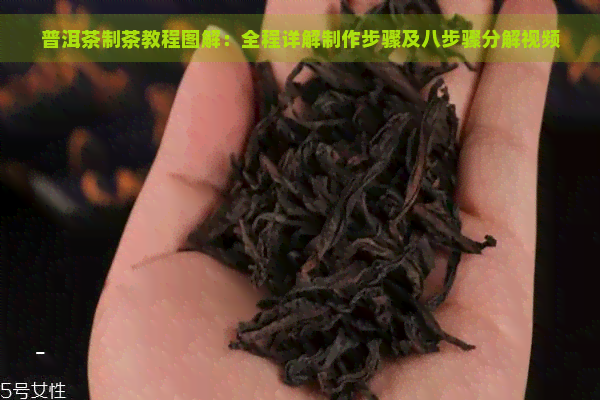 普洱茶制茶教程图解：全程详解制作步骤及八步骤分解视频