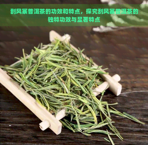 刮风寨普洱茶的功效和特点，探究刮风寨普洱茶的独特功效与显著特点