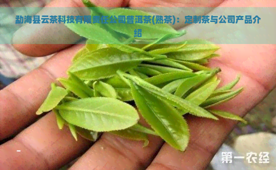 勐海县云茶科技有限责任公司普洱茶(熟茶)：定制茶与公司产品介绍