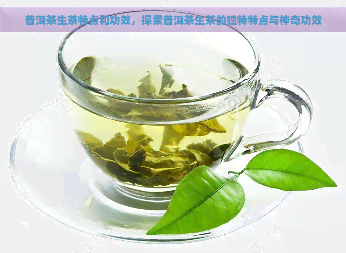 普洱茶生茶特点和功效，探索普洱茶生茶的独特特点与神奇功效