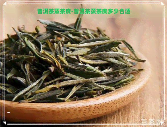 普洱茶蒸茶度-普洱茶蒸茶度多少合适