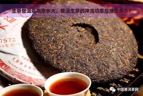 生茶普洱茶功率多大，普洱生茶的冲泡功率应该是多少？