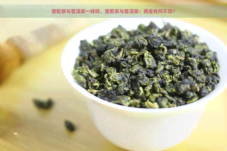 普陀茶与普洱茶一样吗，普陀茶与普洱茶：两者有何不同？