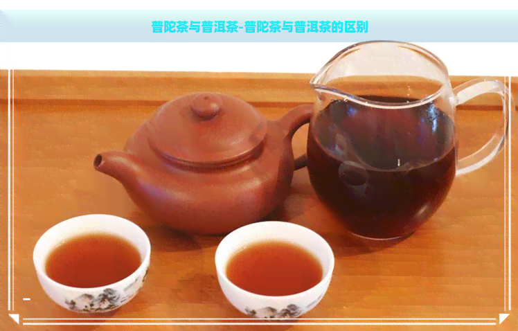 普陀茶与普洱茶-普陀茶与普洱茶的区别