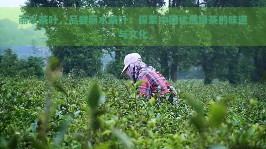 丽水茶叶，品尝丽水茶叶：探索中国优质绿茶的味道与文化