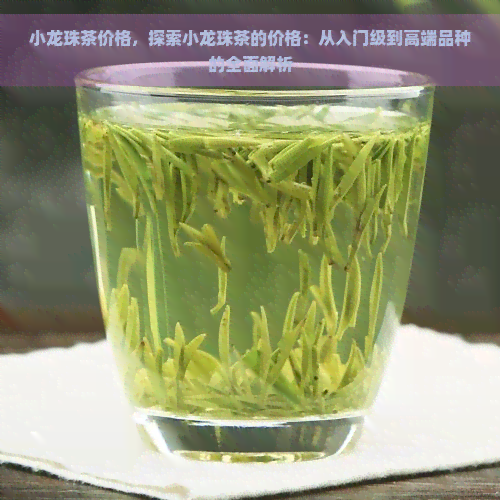 小龙珠茶价格，探索小龙珠茶的价格：从入门级到高端品种的全面解析