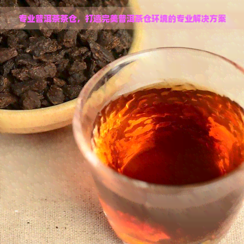 专业普洱茶茶仓，打造完美普洱茶仓环境的专业解决方案