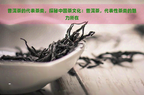 普洱茶的代表茶类，探秘中国茶文化：普洱茶，代表性茶类的魅力所在