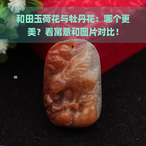 和田玉荷花与牡丹花：哪个更美？看寓意和图片对比！