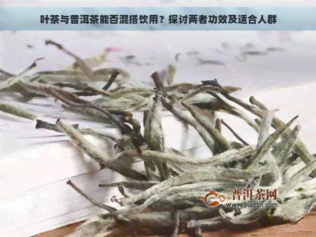 叶茶与普洱茶能否混搭饮用？探讨两者功效及适合人群