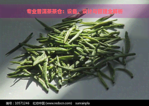 专业普洱茶茶仓：设备、设计与管理全解析