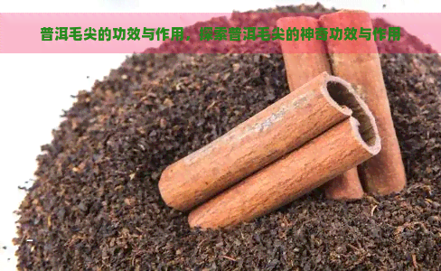 普洱毛尖的功效与作用，探索普洱毛尖的神奇功效与作用