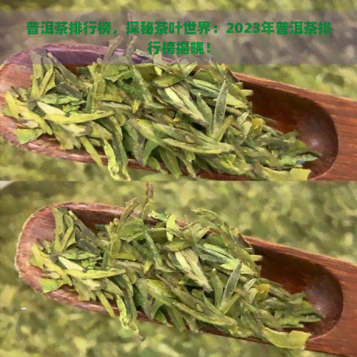 普洱茶排行榜，探秘茶叶世界：2023年普洱茶排行榜揭晓！