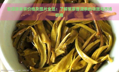 普洱茶紫茶价格及图片全览：了解紫茶普洱茶的功效与市场价格