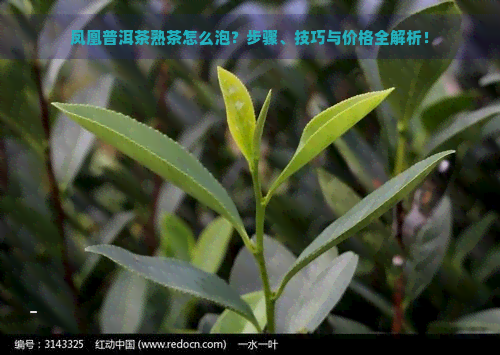 凤凰普洱茶熟茶怎么泡？步骤、技巧与价格全解析！