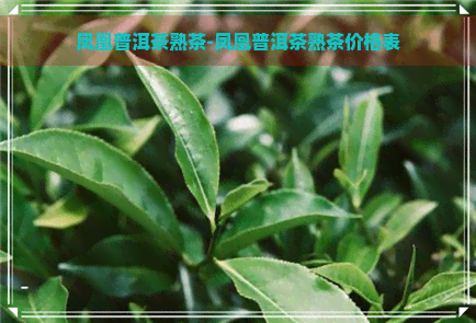 凤凰普洱茶熟茶-凤凰普洱茶熟茶价格表