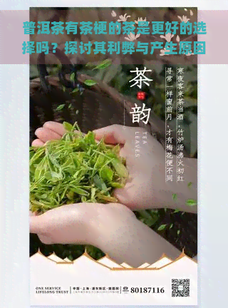 普洱茶有茶梗的茶是更好的选择吗？探讨其利弊与产生原因