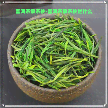 普洱茶散茶梗-普洱茶散茶梗是什么