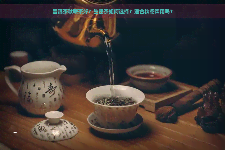 普洱茶秋暖茶好？生熟茶如何选择？适合秋冬饮用吗？