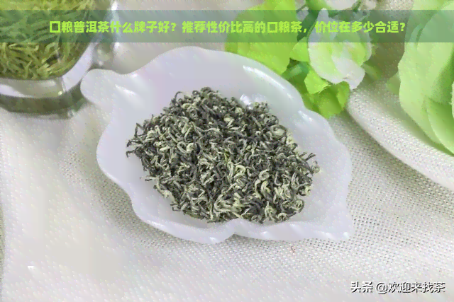 囗粮普洱茶什么牌子好？推荐性价比高的口粮茶，价位在多少合适？