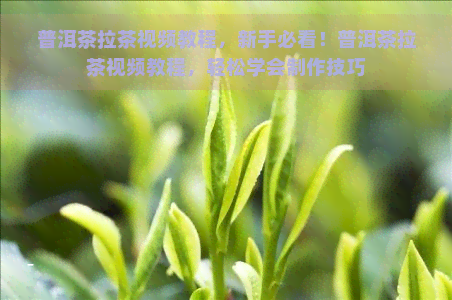 普洱茶拉茶视频教程，新手必看！普洱茶拉茶视频教程，轻松学会制作技巧