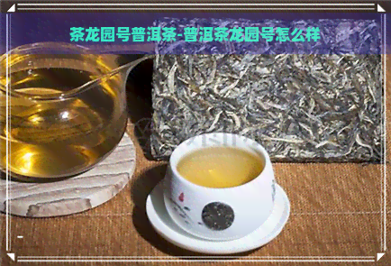 茶龙园号普洱茶-普洱茶龙园号怎么样