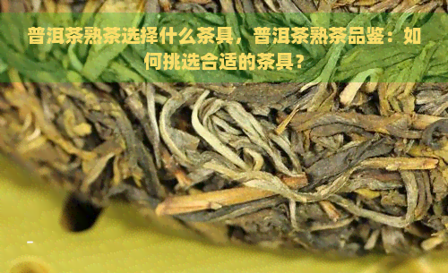 普洱茶熟茶选择什么茶具，普洱茶熟茶品鉴：如何挑选合适的茶具？