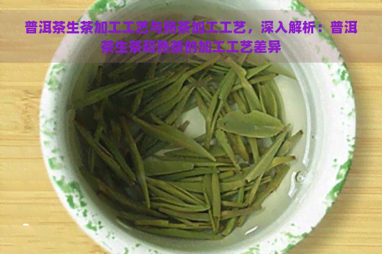 普洱茶生茶加工工艺与熟茶加工工艺，深入解析：普洱茶生茶和熟茶的加工工艺差异