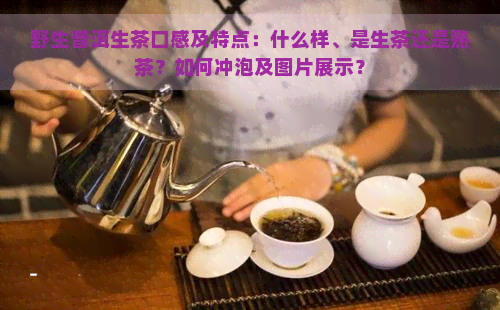 野生普洱生茶口感及特点：什么样、是生茶还是熟茶？如何冲泡及图片展示？