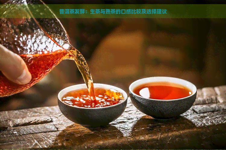 普洱茶发酵：生茶与熟茶的口感比较及选择建议