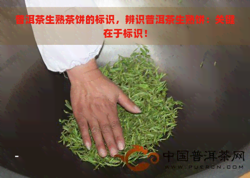 普洱茶生熟茶饼的标识，辨识普洱茶生熟饼：关键在于标识！