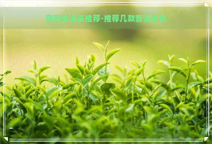 熟茶普洱茶推荐-推荐几款普洱熟茶