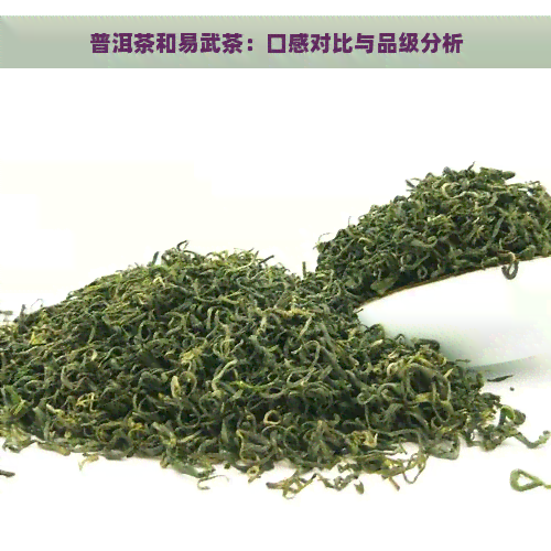 普洱茶和易武茶：口感对比与品级分析