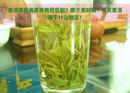 普洱茶和易武茶有何区别？哪个更好喝？易武普洱属于什么档次？