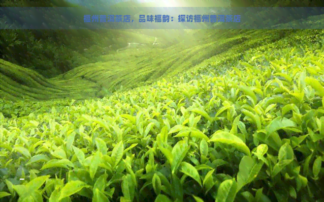 福州普洱茶店，品味福韵：探访福州普洱茶店