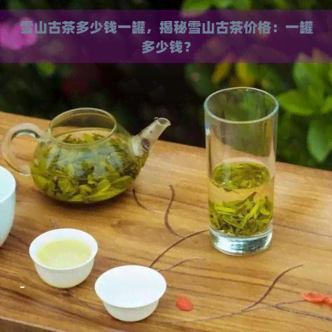 雪山古茶多少钱一罐，揭秘雪山古茶价格：一罐多少钱？