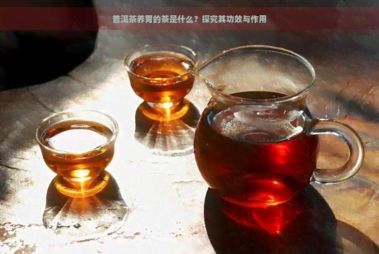 普洱茶养胃的茶是什么？探究其功效与作用