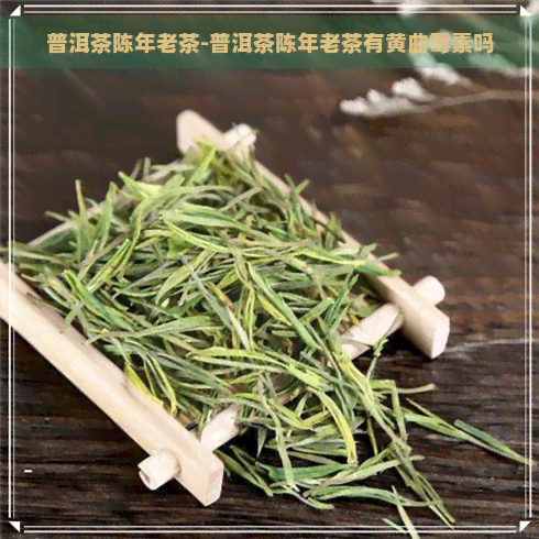 普洱茶陈年老茶-普洱茶陈年老茶有黄曲霉素吗