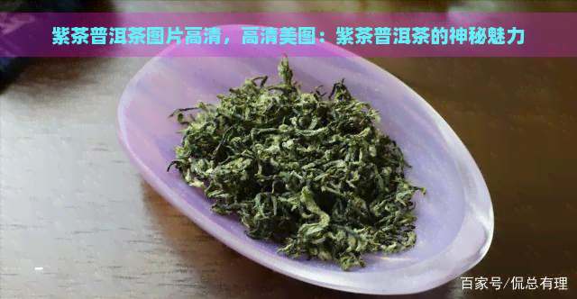 紫茶普洱茶图片高清，高清美图：紫茶普洱茶的神秘魅力