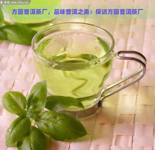 方圆普洱茶厂，品味普洱之美：探访方圆普洱茶厂